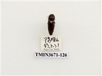 藏品(叩頭蟲(2))的圖片